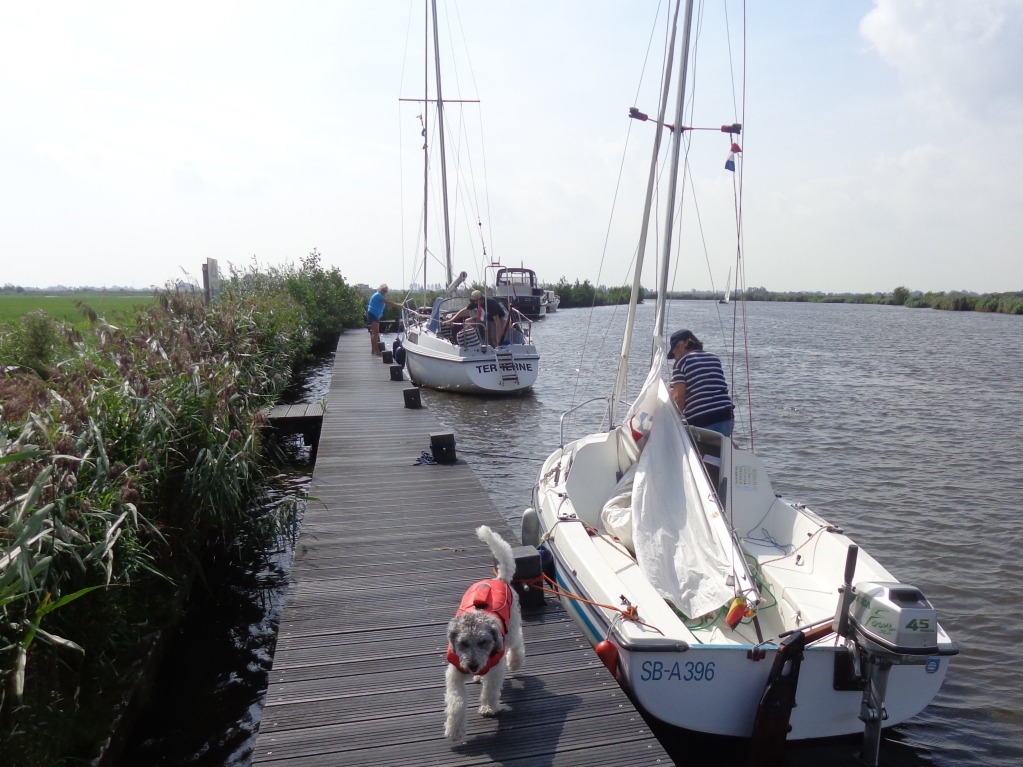 friesland-2019_08.jpg friesland-2019_08.jpg