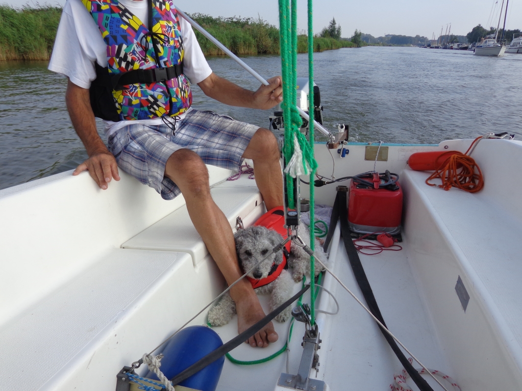 friesland-2019_09.jpg friesland-2019_09.jpg