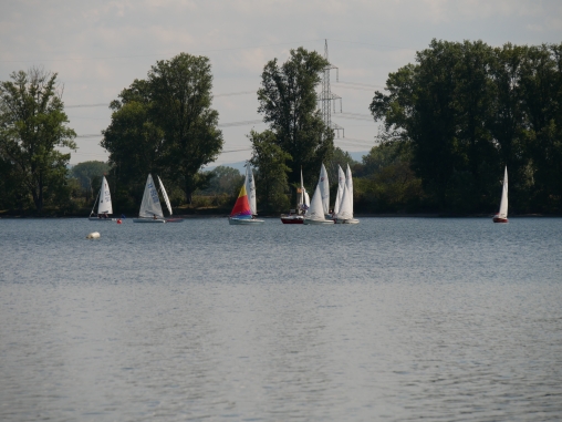 Startschiff dornfelderregatta-2019_02.jpg