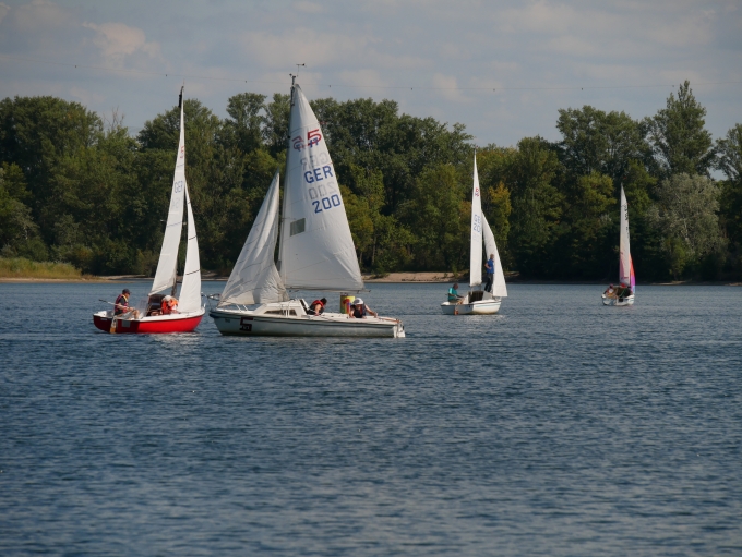 Die ersten Vier dornfelderregatta-2019_03.jpg