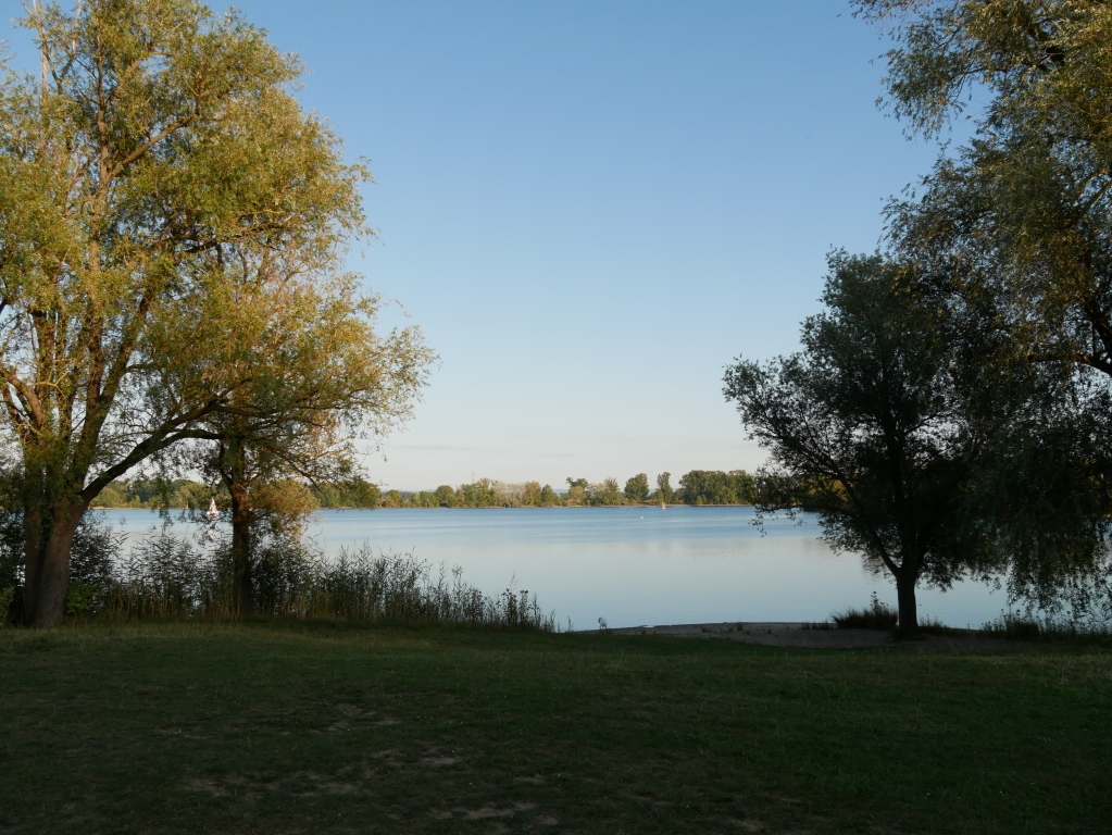 Stiller See dornfelderregatta-2019_08.jpg