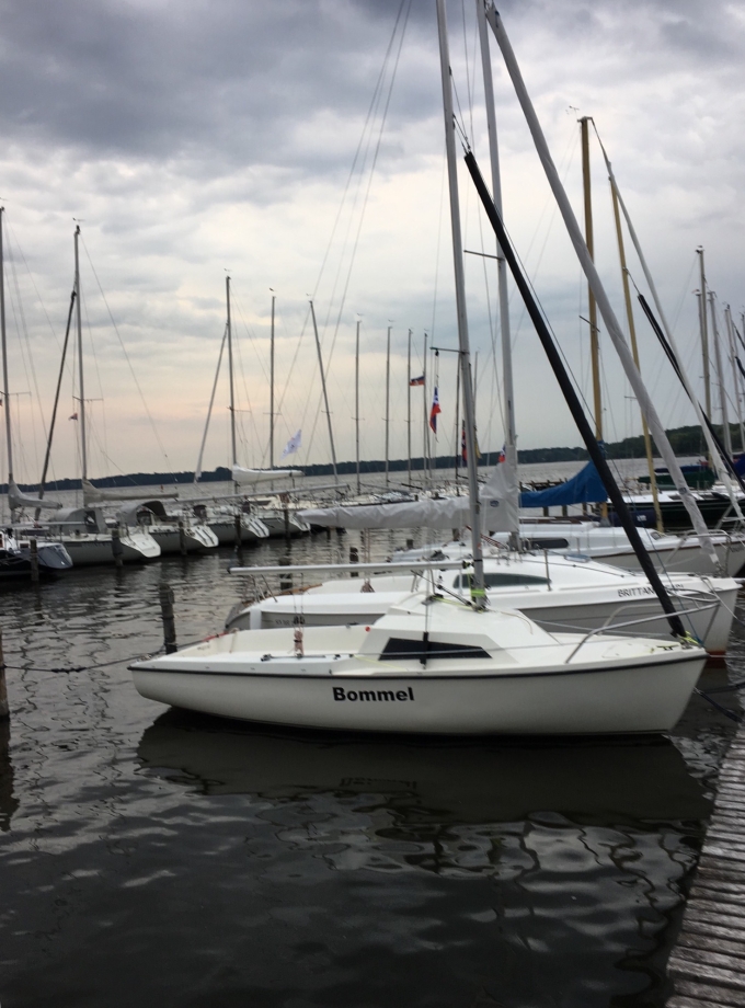 Bommel dornfelderregatta-2019_10.jpg