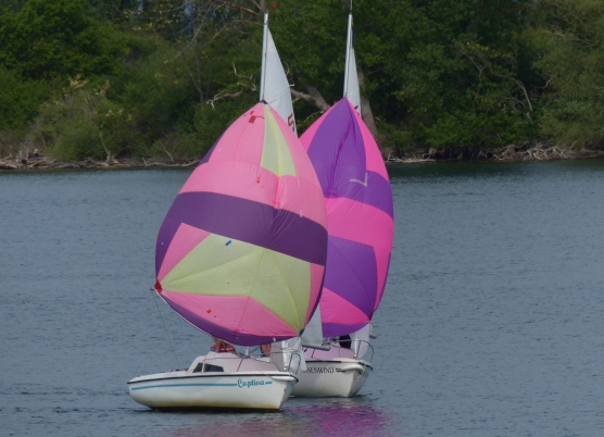 Heinz Dochnal und Bernd Kußmann fruehjahrsregatta-2019_02.jpg