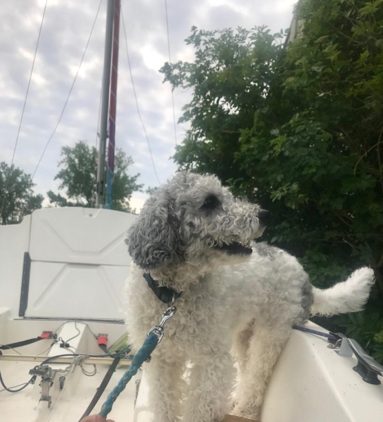 Maskottchen Snoopy fruehjahrsregatta-2019_05.jpg
