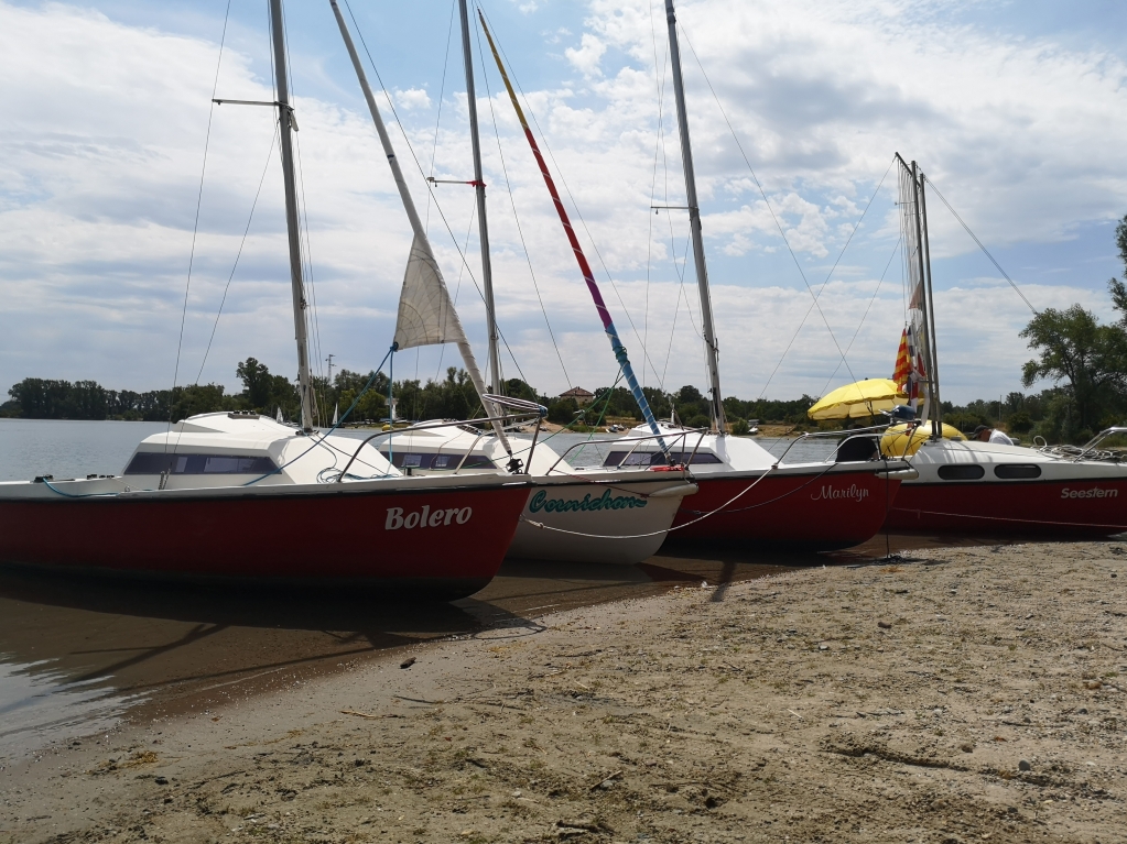 in Reih und Glied lionerregatta-2019_05.jpg