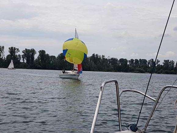Lionerregatta-2021_01 lionerregatta-2021_01.jpg