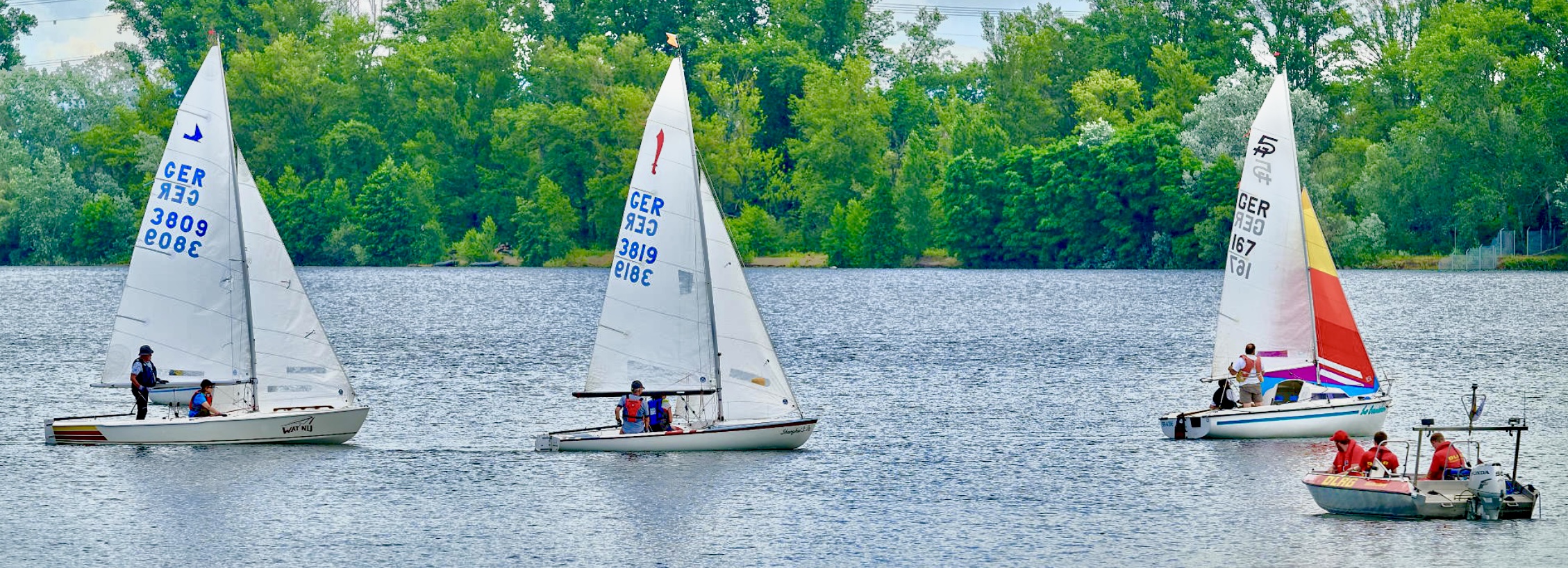 Pfälzer-Regatta-2024_01 pfaelzer-regatta-2024_01.jpg