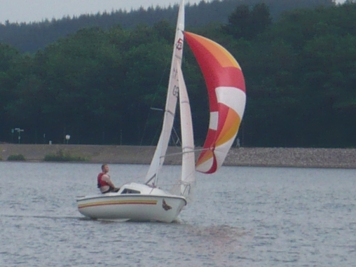 Papillon saarlandmeisterschaft-2019_bericht_18.jpg